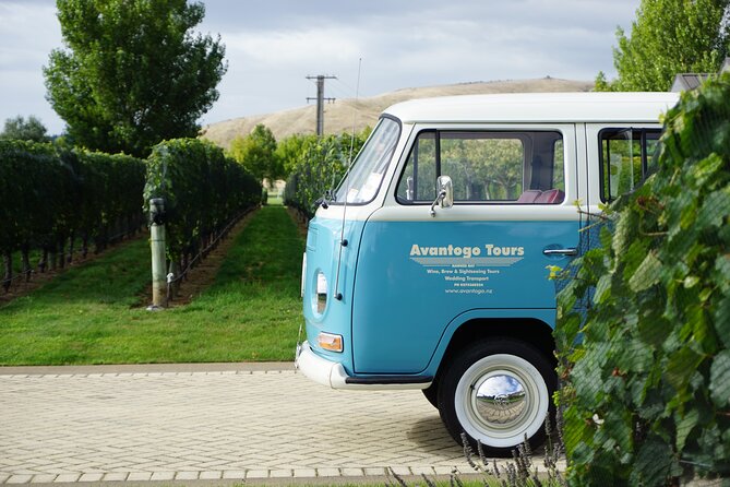 Wine Tour and Tastings in Hawkes Bay - Vintage Kombi Van Experience