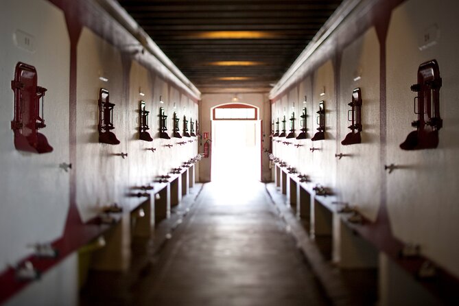 Wine Tour at Chateau Lanessan - Guided Tour of the Vineyard and Cellars