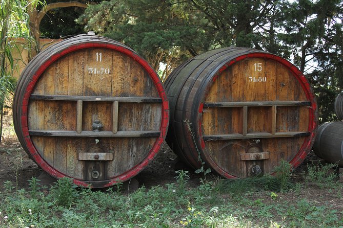 Wine Tour Bandol & Cassis From Marseille - Inclusions