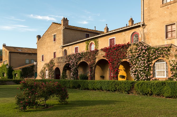 Wine Tour Bolgheri Half Day Shore Excursion From Piombino Port - About Your Stay