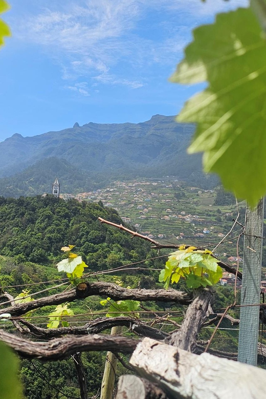 Wine Tour by Overland Madeira - Included in the Tour