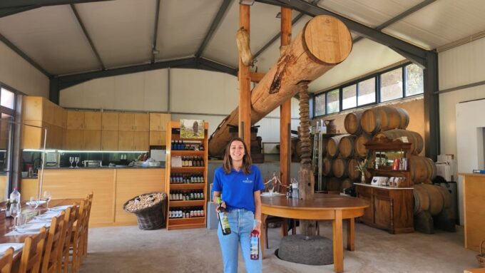 Wine Tour by Overland Madeira - Guided Vineyard Tour