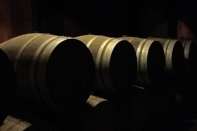 Wine Tour Discover the History and Flavors of the Best Winerys of Lisbon Region - Tasting the Diverse Flavors of Lisbon Wines