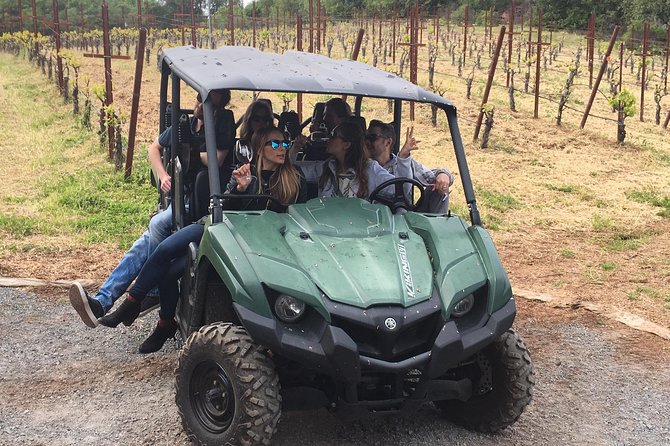 Wine Tour, Enjoy a Wonderful Day in Napa or Sonoma Wine Country. Private Driver - Key Points