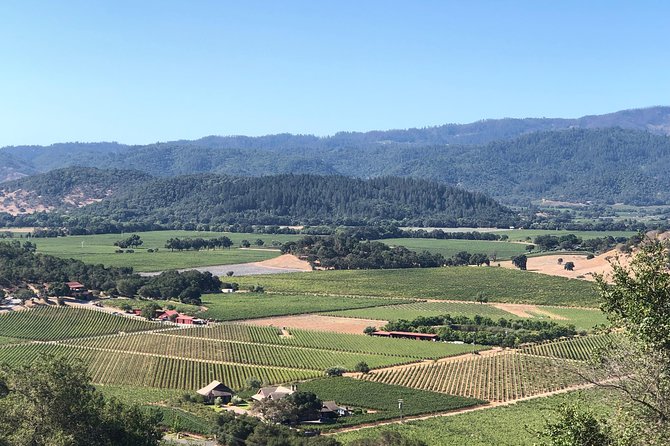 Wine Tour, Enjoy a Wonderful Day in Napa or Sonoma Wine Country. Private Driver - Customizable Itinerary