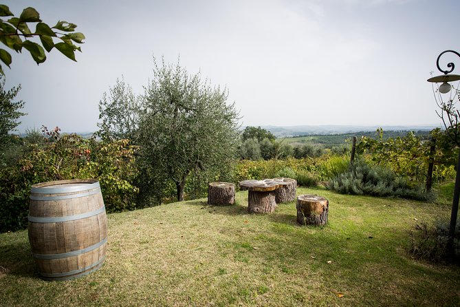 Wine Tour Experience at Agricola Tamburini - Guest Reviews