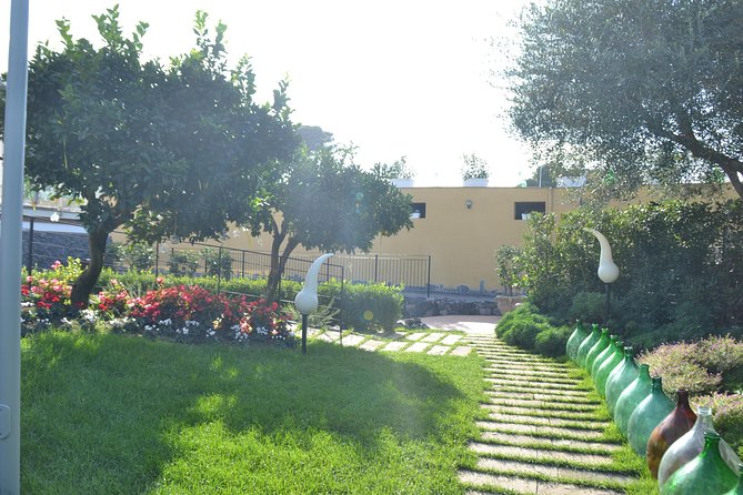Wine Tour Experience for Family or Friends Group - Included in the Tour