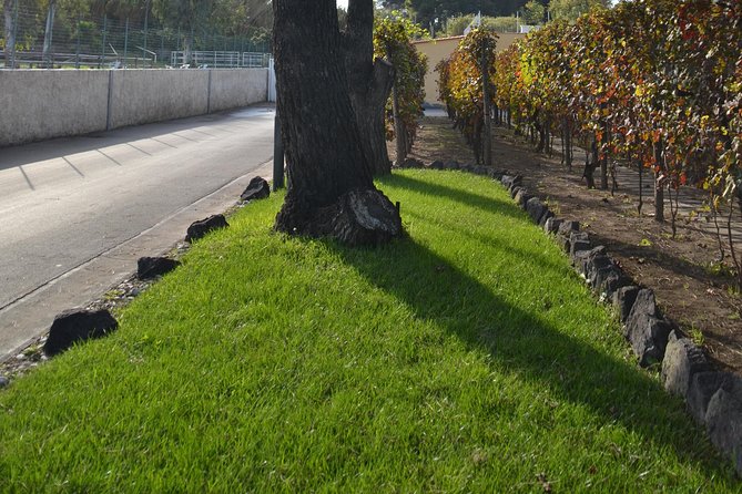Wine Tour Experience for Family or Friends Group - Cancellation and Pricing Policy