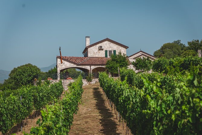 Wine Tour- Family Winery Visit, Food Tasting & Skadar Lake Boat Cruise - About Your Stay