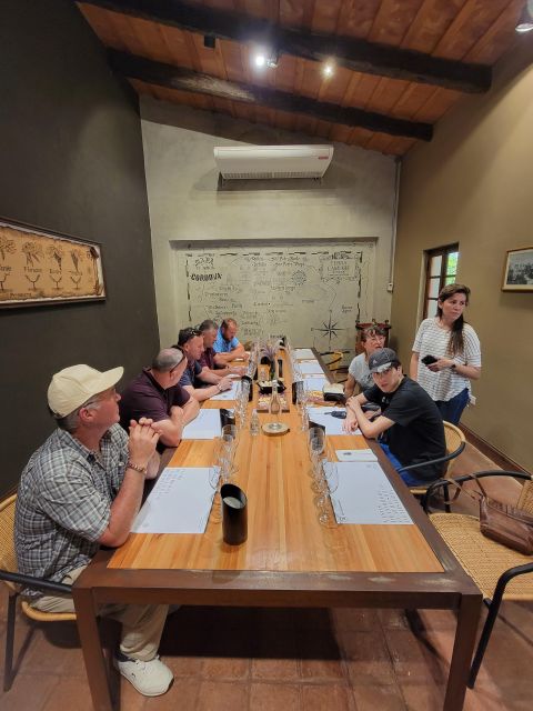 Wine Tour & History - Experience and Highlights
