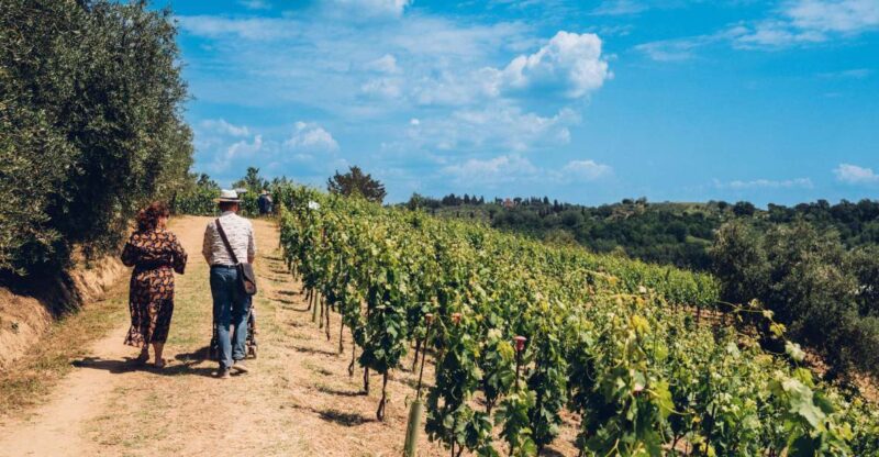 Wine Tour in a Family Winery in Tuscany - Winery Experience