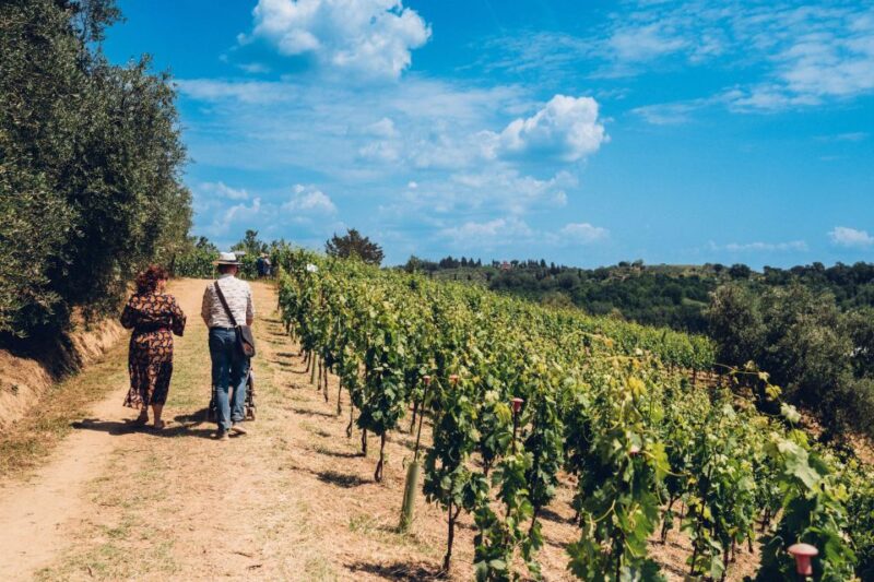 Wine Tour in a Family Winery in Tuscany - Wine and Olive Oil Tasting