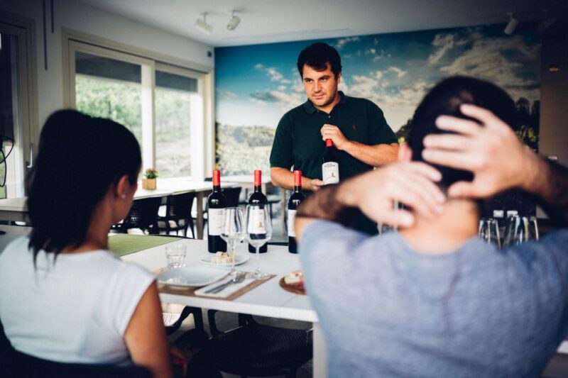 Wine Tour in a Family Winery in Tuscany - Explore Tuscan Vineyards