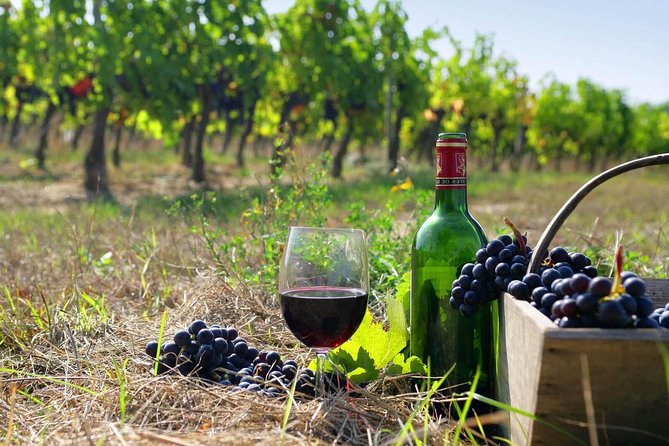 Wine Tour in Armenia - Additional Tour Details