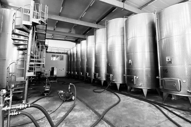 Wine Tour in Kakheti - Taking in Local Culture