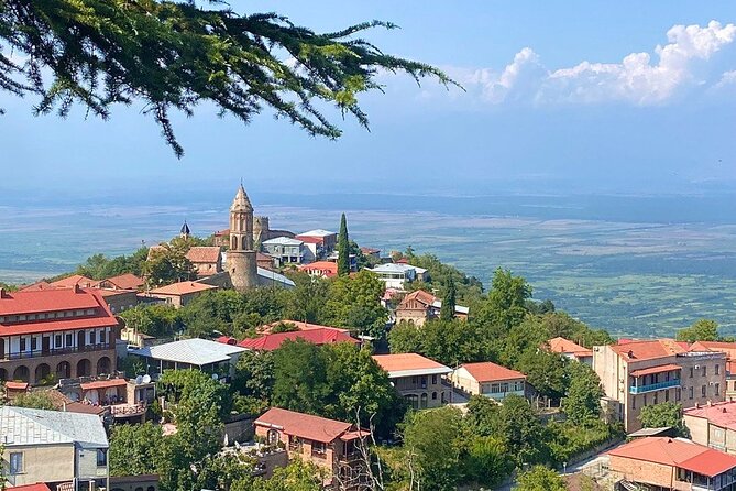 Wine Tour in Kakheti - Exceptional Guest Reviews