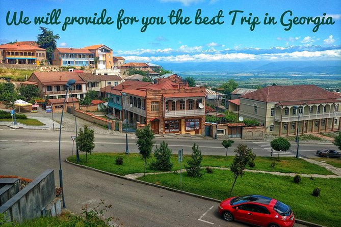 Wine Tour in Kakheti, Telavi Town, Georgia - Tour Highlights