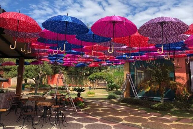 Wine Tour in São Roque by Car - Tour With Local Guides - Meeting Point and Transportation
