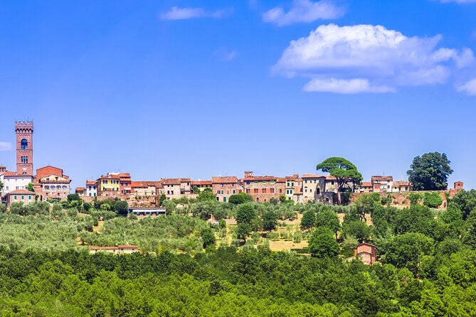 Wine Tour in the Countryside of Lucca With Lunch - With Minivan - Positive Reviews