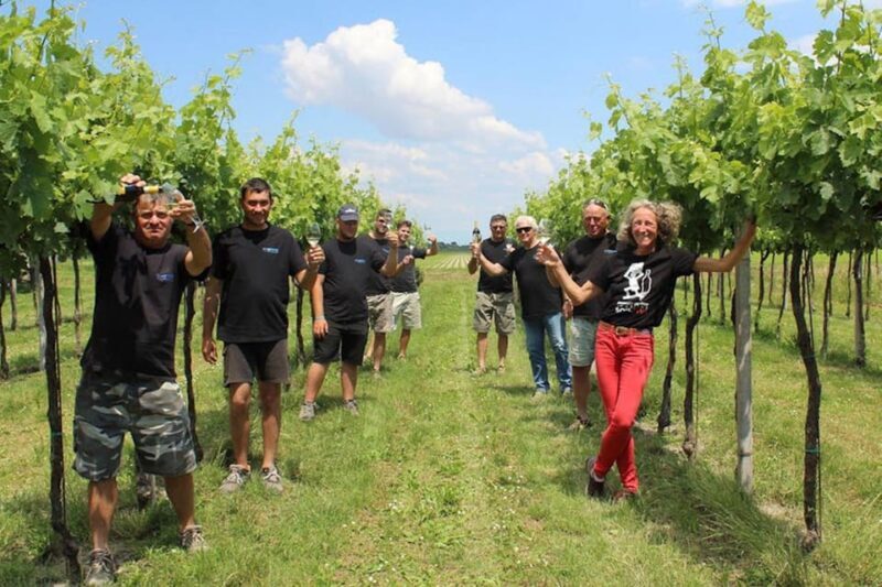 Wine Tour in the Hemingway Lands Close to Caorle Lagoon - Overview of the Wine Tour