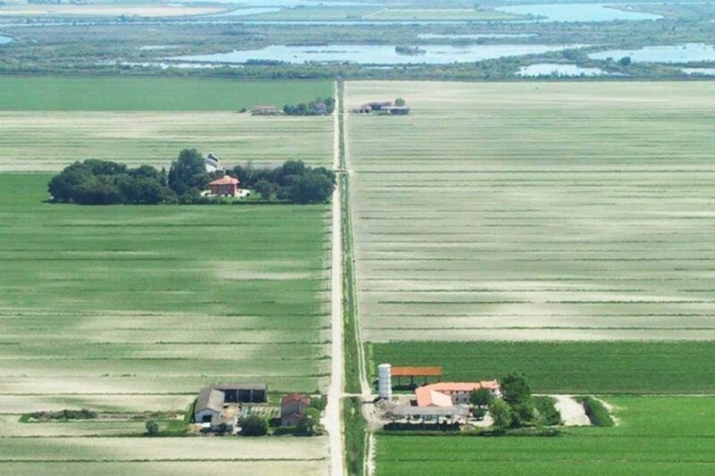 Wine Tour in the Hemingway Lands Close to Caorle Lagoon - Highlights of the Experience