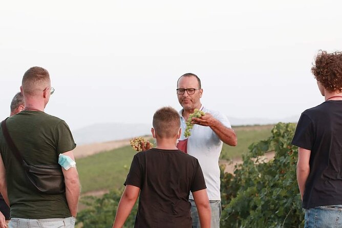 Wine Tour in the Historic Baglio Florio Adamo With Lunch - Included in the Tour
