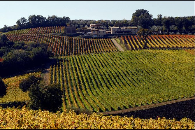 Wine Tour in Umbria Along the Sagrantino Trail With Light Lunch - About Your Stay