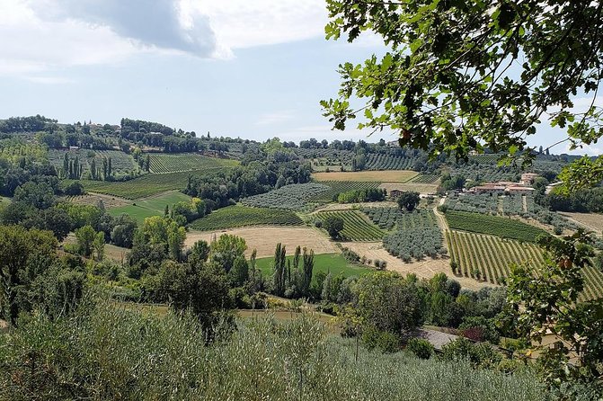 Wine Tour in Umbria Along the Sagrantino Trail With Light Lunch - Monuments, Churches, and Ruins