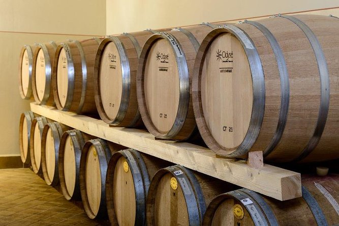 Wine Tour in Umbria Along the Sagrantino Trail With Light Lunch - Winery Tours and History
