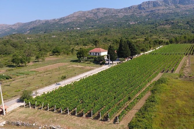 Wine Tour Konavle - Booking and Cancellation Policy