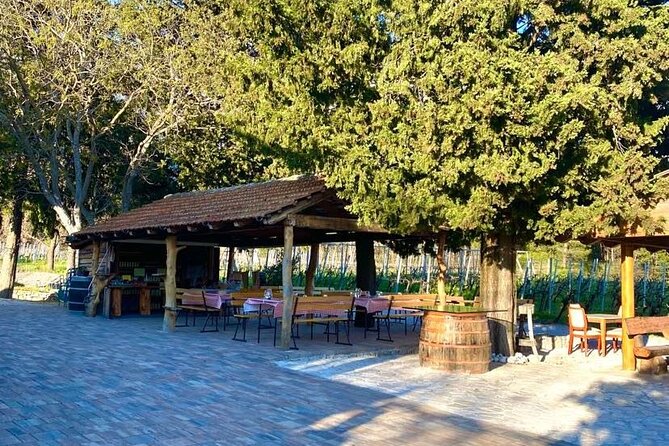 Wine Tour Konavle - Hassle-free Tasting Indulgence