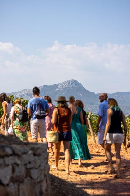 Wine Tour - Le Pradet - Tour Details