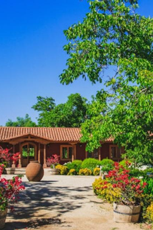 Wine Tour Maipo Valley - Free Cancellation and Refund