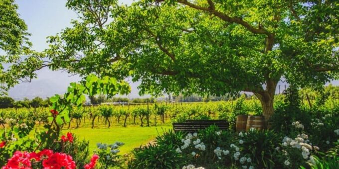 Wine Tour Maipo Valley - Frequently Asked Questions