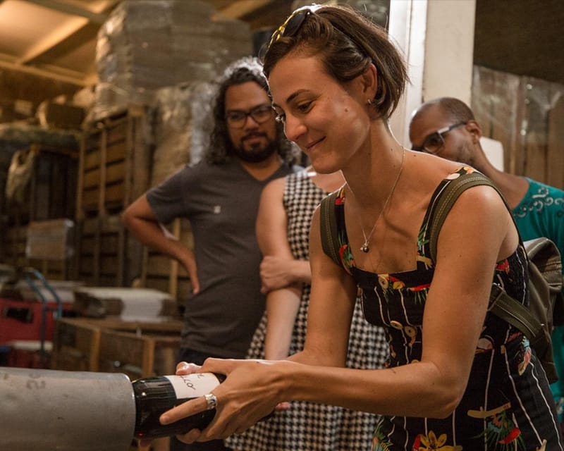 Wine Tour Maipo Valley - Wine and Gastronomy Experience