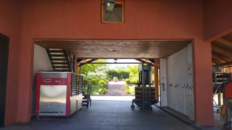 Wine Tour Maipo Valley - Transportation and Guide