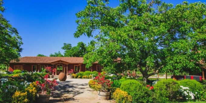 Wine Tour Maipo Valley - Additional Information