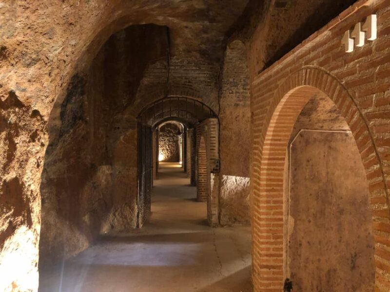 Wine Tour of Rueda - a Day of Visits & Tastings - Experience and Activities