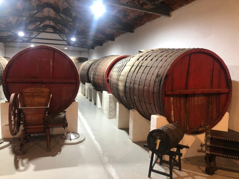 Wine Tour of Rueda - a Day of Visits & Tastings - Tour Logistics