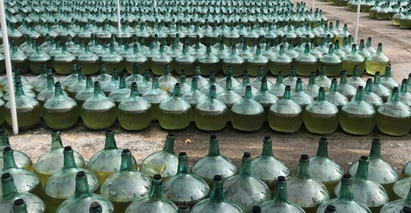 Wine Tour of Rueda - a Day of Visits & Tastings - Dining Options