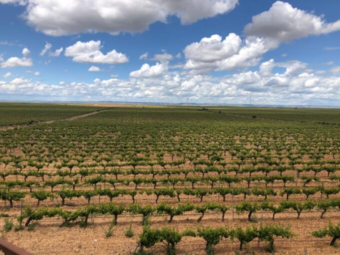 Wine Tour of Rueda - a Day of Visits & Tastings - Frequently Asked Questions