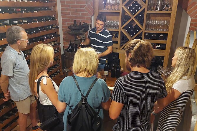 Wine Tour Peljesac - Overview of the Wine Tour