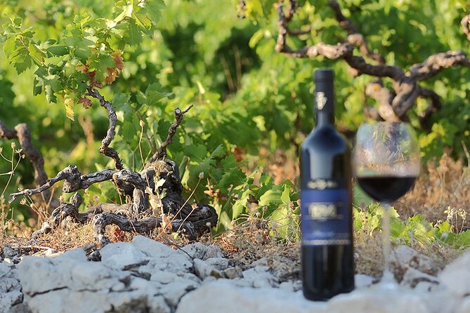 Wine Tour Peljesac - Culinary Experiences Offered