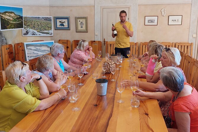 Wine Tour Peljesac - Visual Representations of the Tour