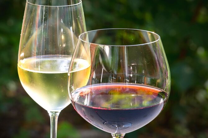 Wine Tour PelješAc Peninsula - Tour Highlights