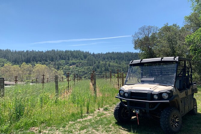 Wine Tour Pros - Wine Tour in Napa Valley: SUV For Up To 6 Guests - Package Details