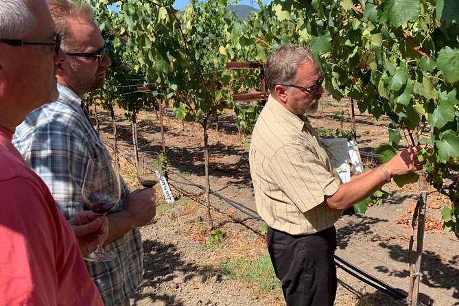 Wine Tour Pros - Wine Tour in Napa Valley: SUV For Up To 6 Guests - Winery Highlights