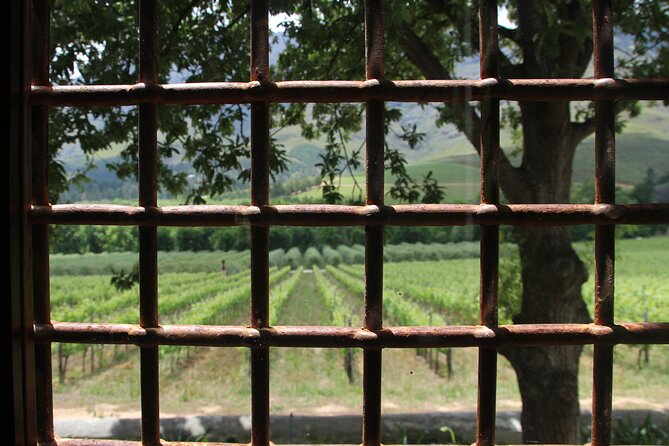 Wine Tour - Reserve a Tour With a Winemaker! - Cancellation and Pricing
