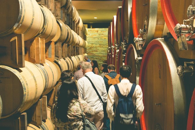 WINE TOUR - SALENTO and PUGLIA - Visitor Restrictions and Participation
