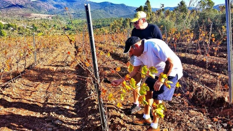 Wine Tour Sardinia - Participant Suitability